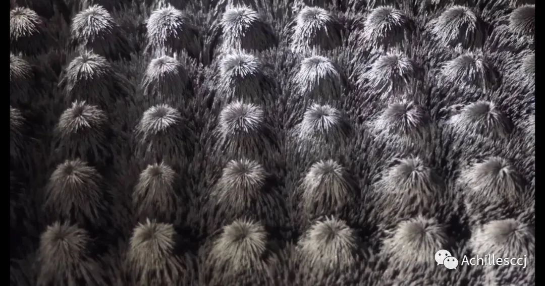 1697434525186666.jpg 9.jpg