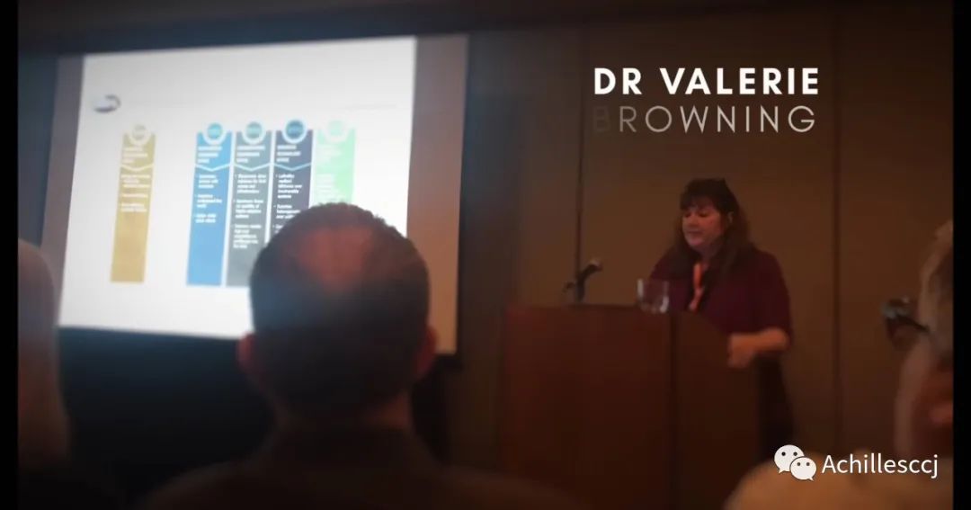 1697434880381126.jpg 11.jpg